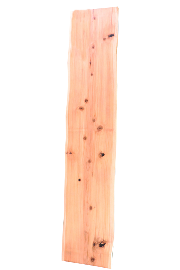 3121aaa91abfc5e0460f00a1f52e16a3_1627526