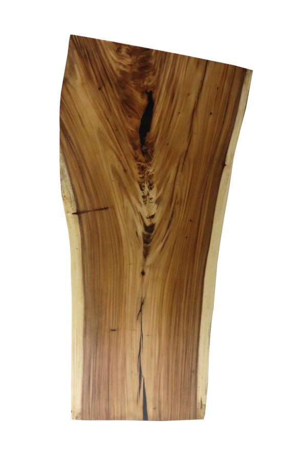 3121aaa91abfc5e0460f00a1f52e16a3_1627534